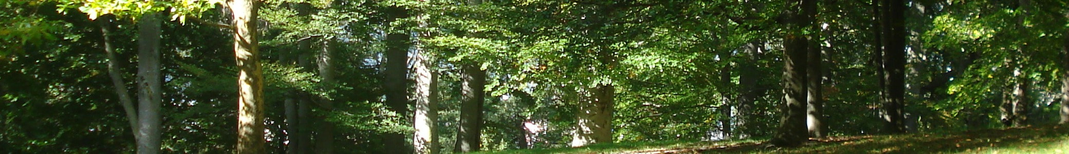 Grill Family Reunion